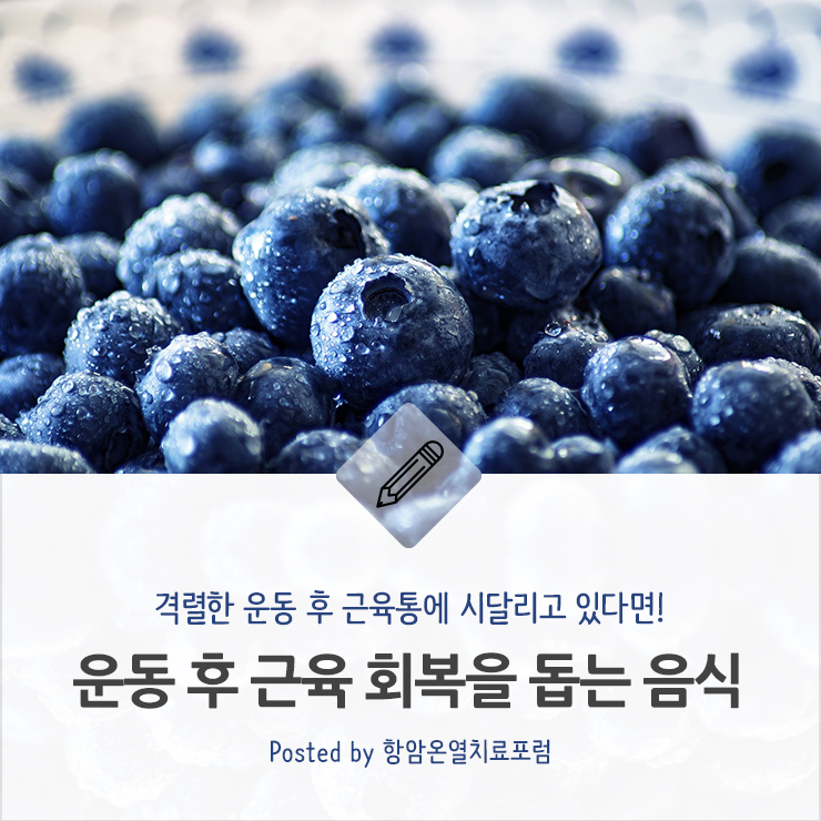 운동 후 근육 회복을 돕는 음식