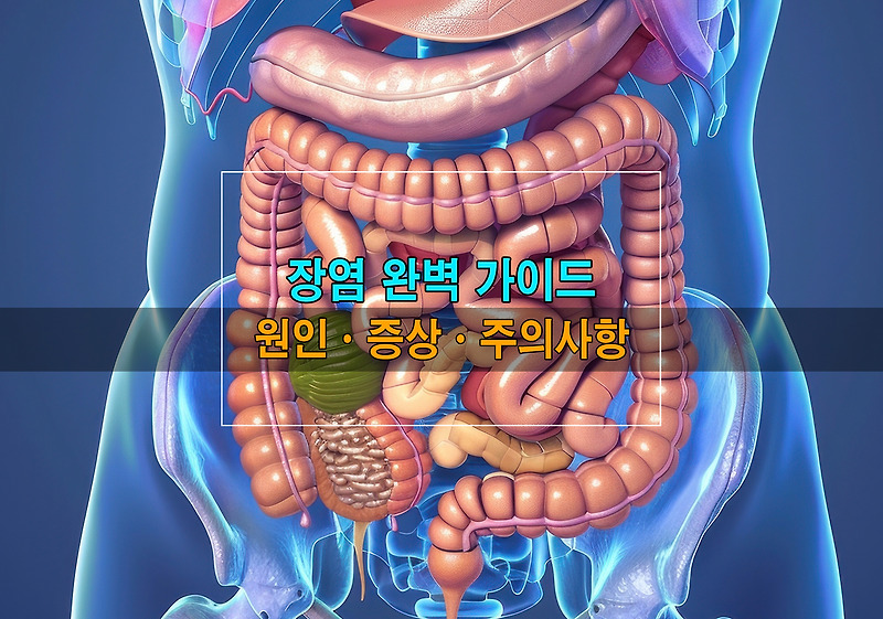 장염ㆍ주요 원인ㆍ증상ㆍ주의사항ㆍ완벽 가이드