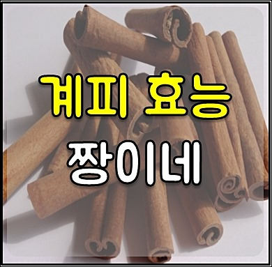 계피 효능 및 부작용 제대로 알고 먹기