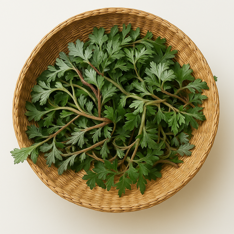봄철 건강을 책임지는 쑥의 모든 것 — NutriNote