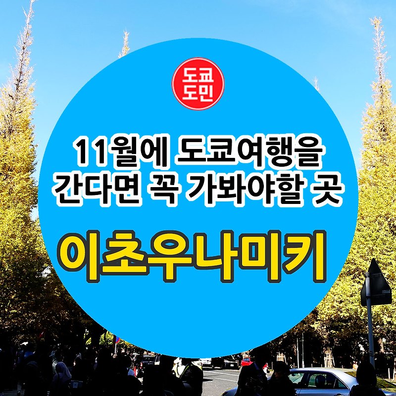 도쿄 볼거리 - 11월엔 꼭 가봐야할 곳 "이초우나미키(은행나무길)"