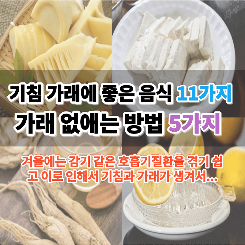 기침 가래에 좋은 음식 목감기 가래 없애는 법 효과만점 2