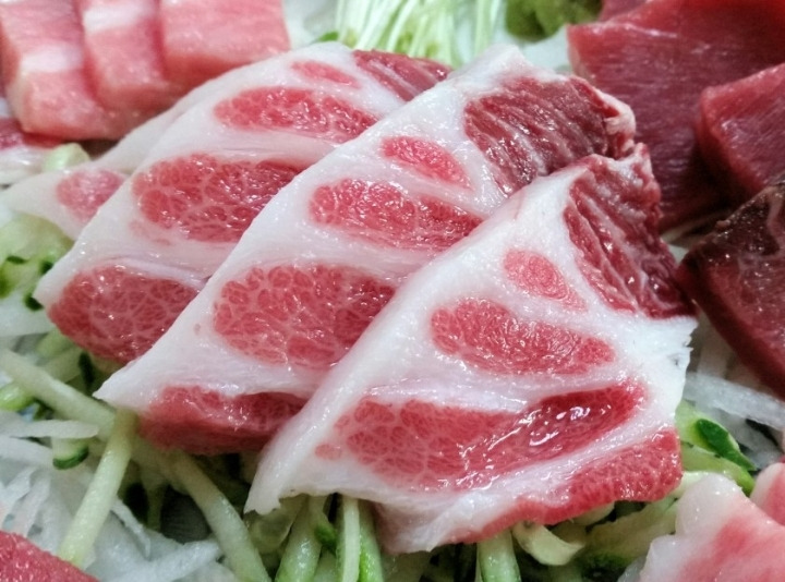 참치회 - 꾸르