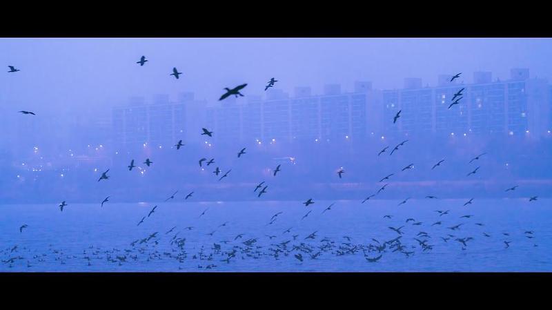 디시인의 새벽 출사 후기 - 꾸르