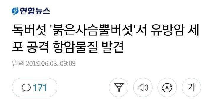 붉은사슴뿔버섯을 먹고 죽을 뻔한 친구 썰 - 꾸르