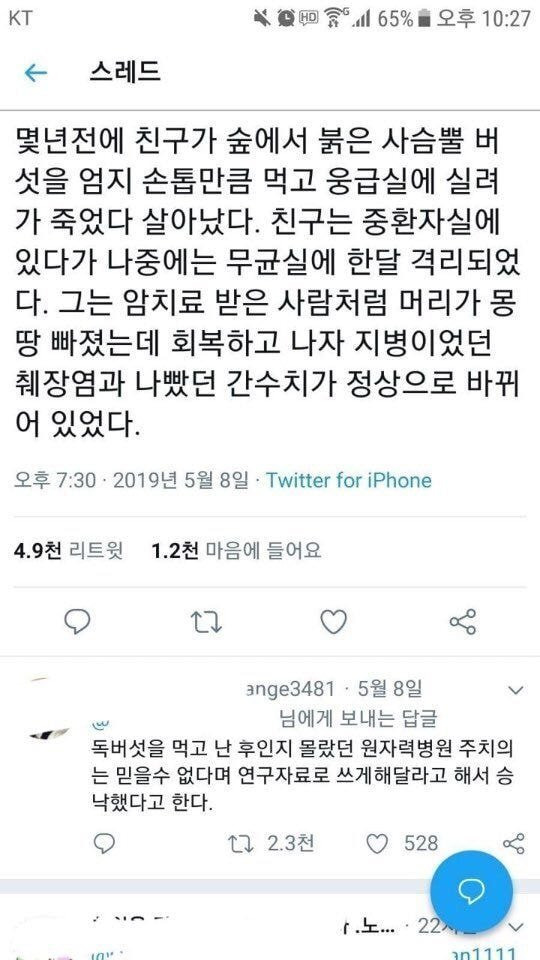 붉은사슴뿔버섯을 먹고 죽을 뻔한 친구 썰 - 꾸르