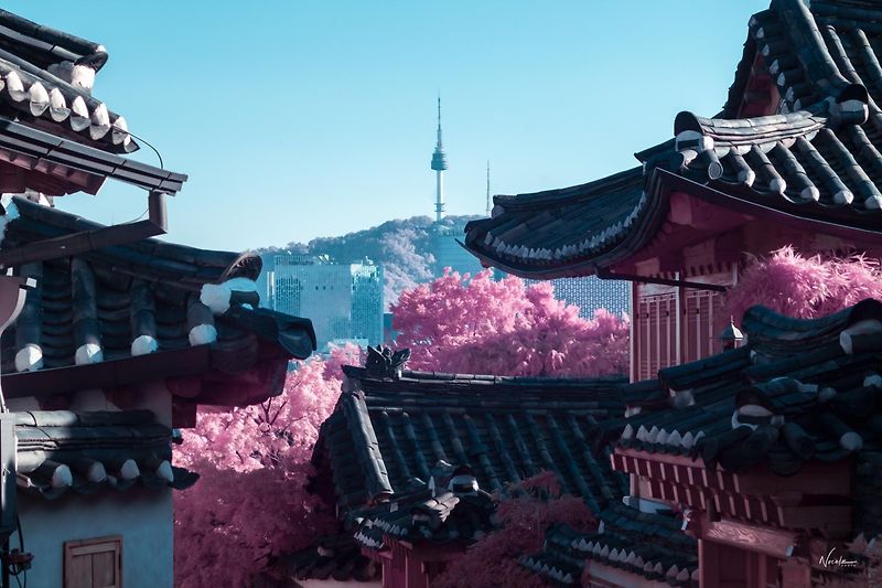레딧에 올라온 우리나라 아름다운 사진들 - 꾸르