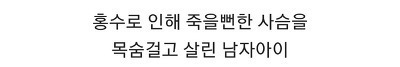 인류애 가득 채워주는 사진들 - 꾸르