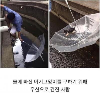인류애 가득 채워주는 사진들 - 꾸르