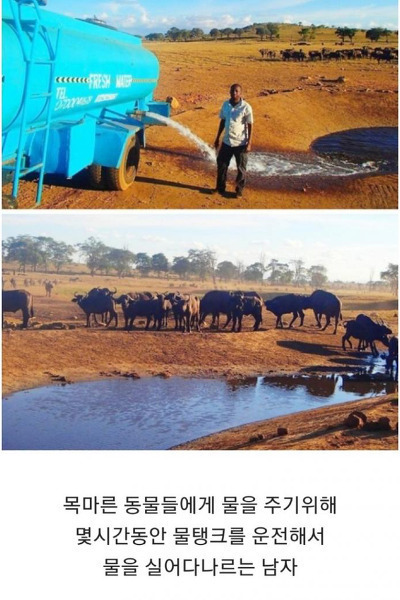 인류애 가득 채워주는 사진들 - 꾸르