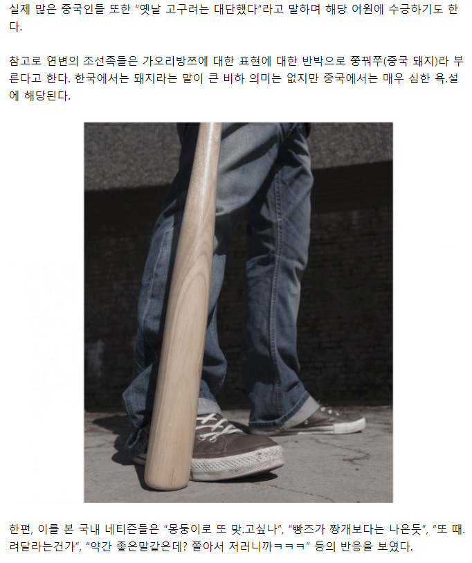 중국인들이 하는 욕 '빵즈'의 재미있는 사실 - 꾸르