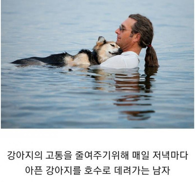 인류애 가득 채워주는 사진들 - 꾸르
