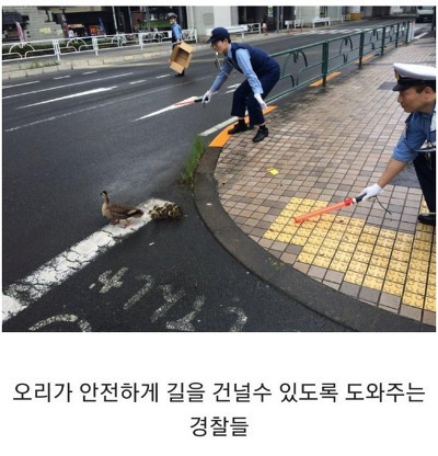 인류애 가득 채워주는 사진들 - 꾸르