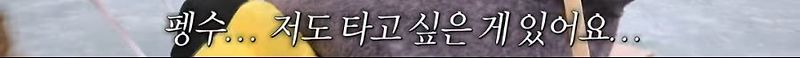 펭수 팀을 떠났던 박재영 PD 근황 - 꾸르