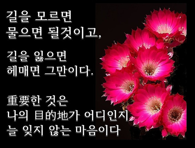 좋은 글, 짧은 인사 글 모음.