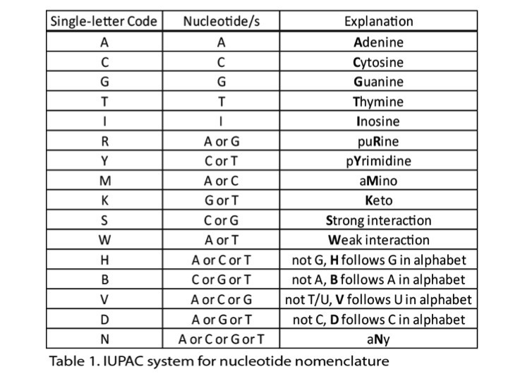 IUPAC system for nucleotide nomenclature