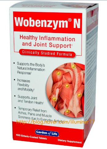 전신 효소 보조제 우벤자임 (WOBENZYM N)