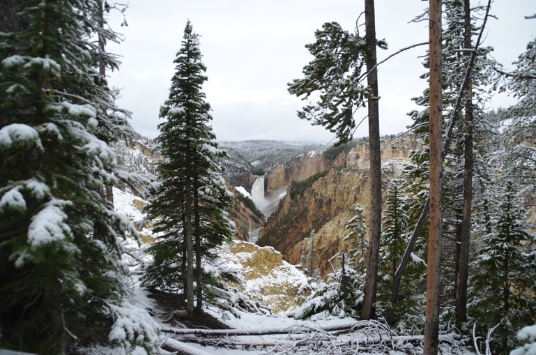 옐로스톤 국립공원 (Yellowstone National Park) 여행 전 알아두기