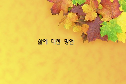 삶의 여유 & 사랑가득