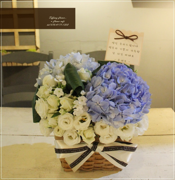 전시회축하선물/화이트앤블루포인트/고급생화꽃바구니추천/강남꽃집 :: 신정동꽃배달 목동꽃배달 신월동꽃배달