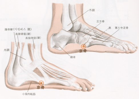 [京骨穴][경골혈]