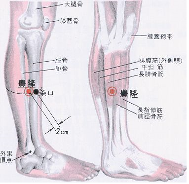 [豊隆穴][풍륭혈]