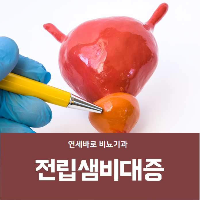 전립샘 비대증 무슨 증상인지 파악하고 예방하세요.