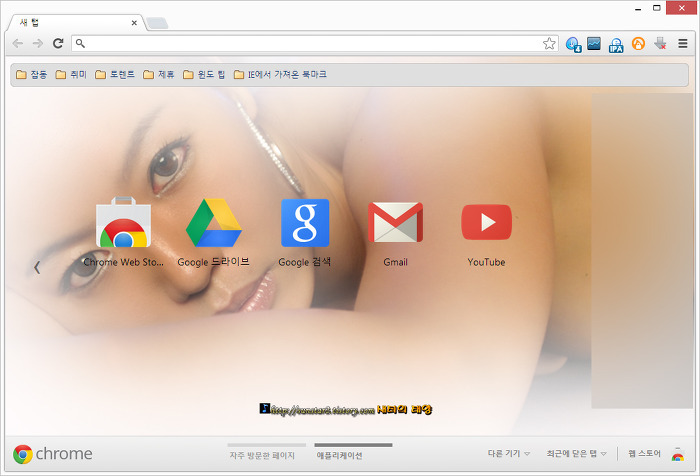 밋밋한 Google Chrome 첫 페이지 '나만의 테마 만들기'