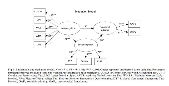 Social Cognition As A Mediator Variable Between Neurocognition And