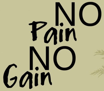 고통 없이는 얻는 것도 없다. 영어속담(명언) -no pain, no gain등