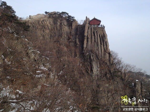 어서와, 관악산은 처음이지? 프론티어 기자단의 유쾌한 등산 이야기!