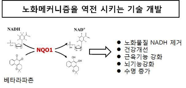 나드 메커니즘