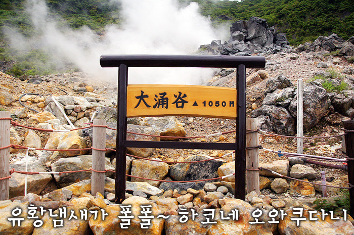 유황냄새가 폴폴 | 하코네 오와쿠다니 명물 검은계란