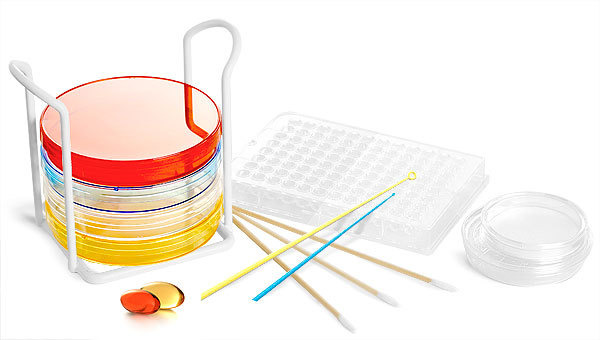 chanjae's 마이너한 취미생활 :: animal cell culture, fish cell culture