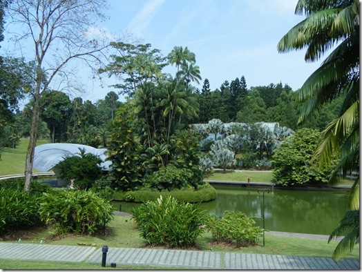 싱가폴 추천코스 보타닉가든(Botanic Garden) :: 씨티벨 citybell.com