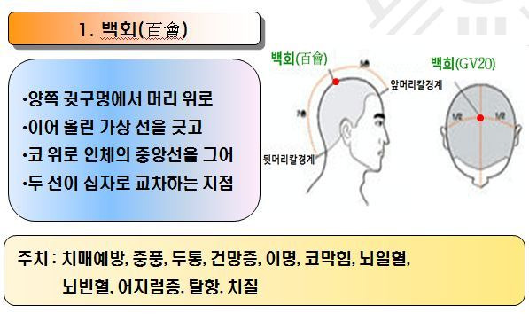 자가치유명상법 :: 3. 뜸자리 설명