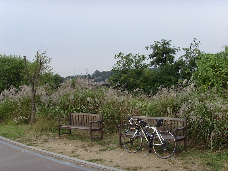 죽전 자전거 도로