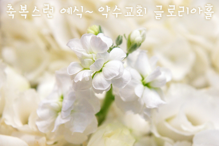 축복스런 예식 | 약수교회 글로리아홀