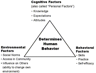 Self efficacy in social learning online theory