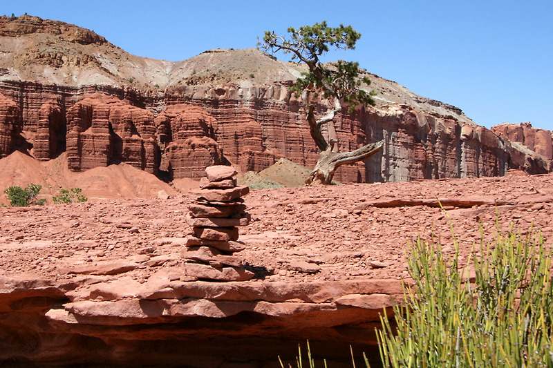 '잠자는 무지개의 땅'이라 불리는 유타주 5개 국립공원중의 막내, 캐피톨리프(Capitol Reef) 국립공원