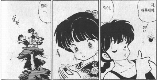 미나비리스] '냉정을 유지하는 싸움의 기술.' [란마 1/2 10~15권: 타카하시 루미코]