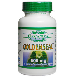 골든씰(goldenseal)의 효능