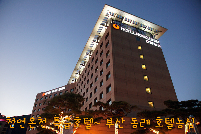 천연온천 특급호텔 | 부산동래 호텔농심 디럭스룸 객실 스케치