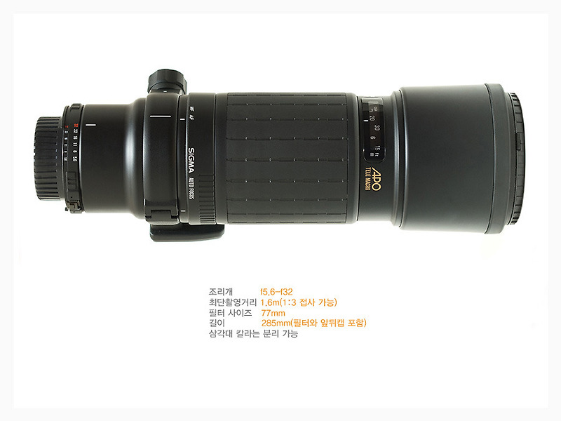 Sigma 400mm f/5.6 APO Tele Macro is my new best friend