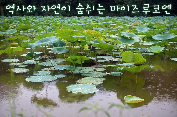 역사와 자연이 숨쉬는 공원 | 후쿠오카 마이즈루코엔