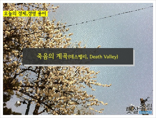 죽음의 계곡(데스밸리, Death Valley) 신생기업이 맞이하는 첫번째 도산위기