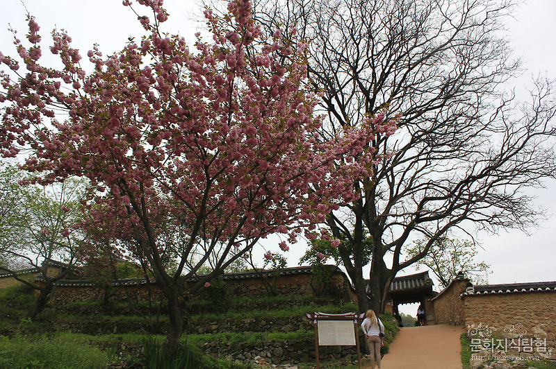 성주 가볼만한 곳 성주 한개마을(with 경북관광공사)