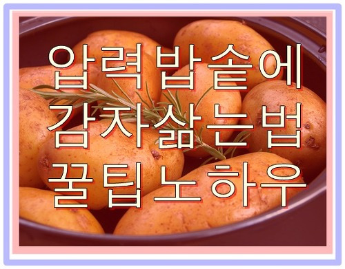 압력밥솥에 감자 삶는법 꿀팁 완벽정리