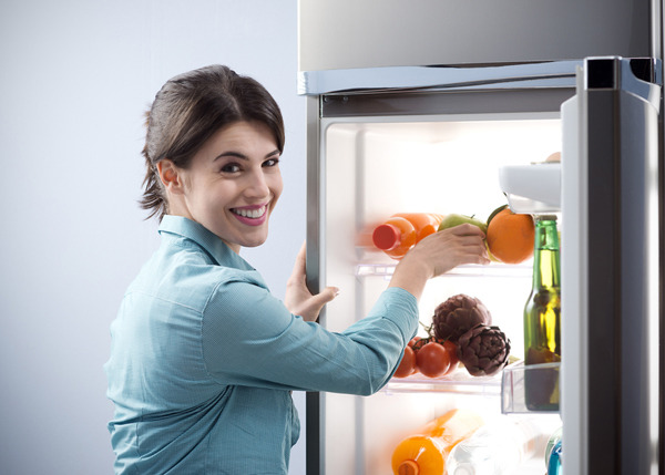 러블리 노트 :: 냉장고에 자석붙이면 전기세가 더 나오는지의 여부