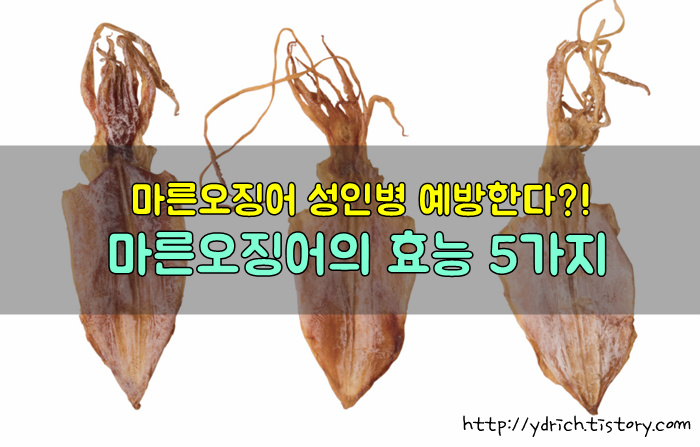 마른오징어 효능, 마른오징어 칼로리 대박!